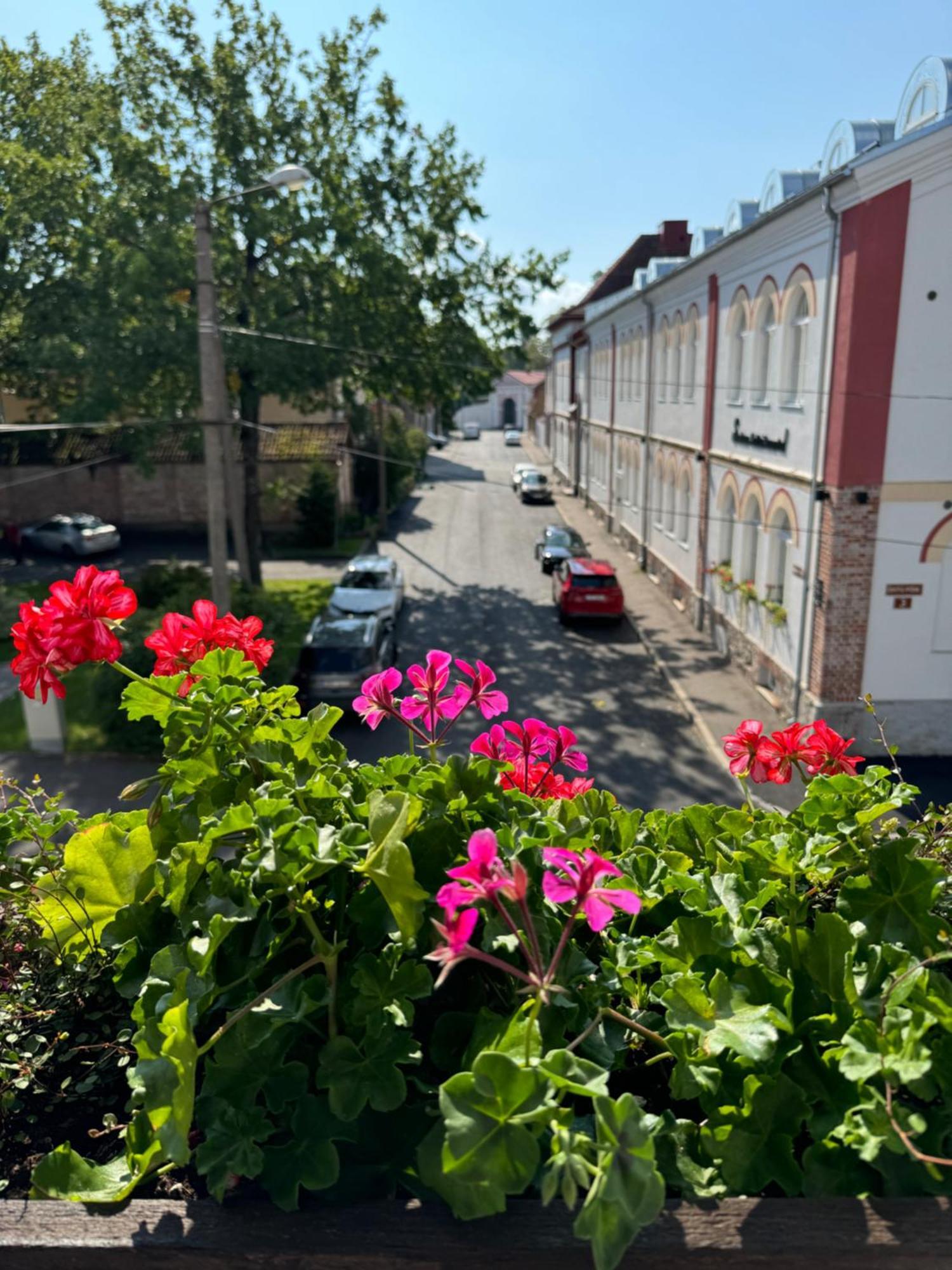 Ohtu Poik 4 City Center Apartment Pärnu Esterno foto